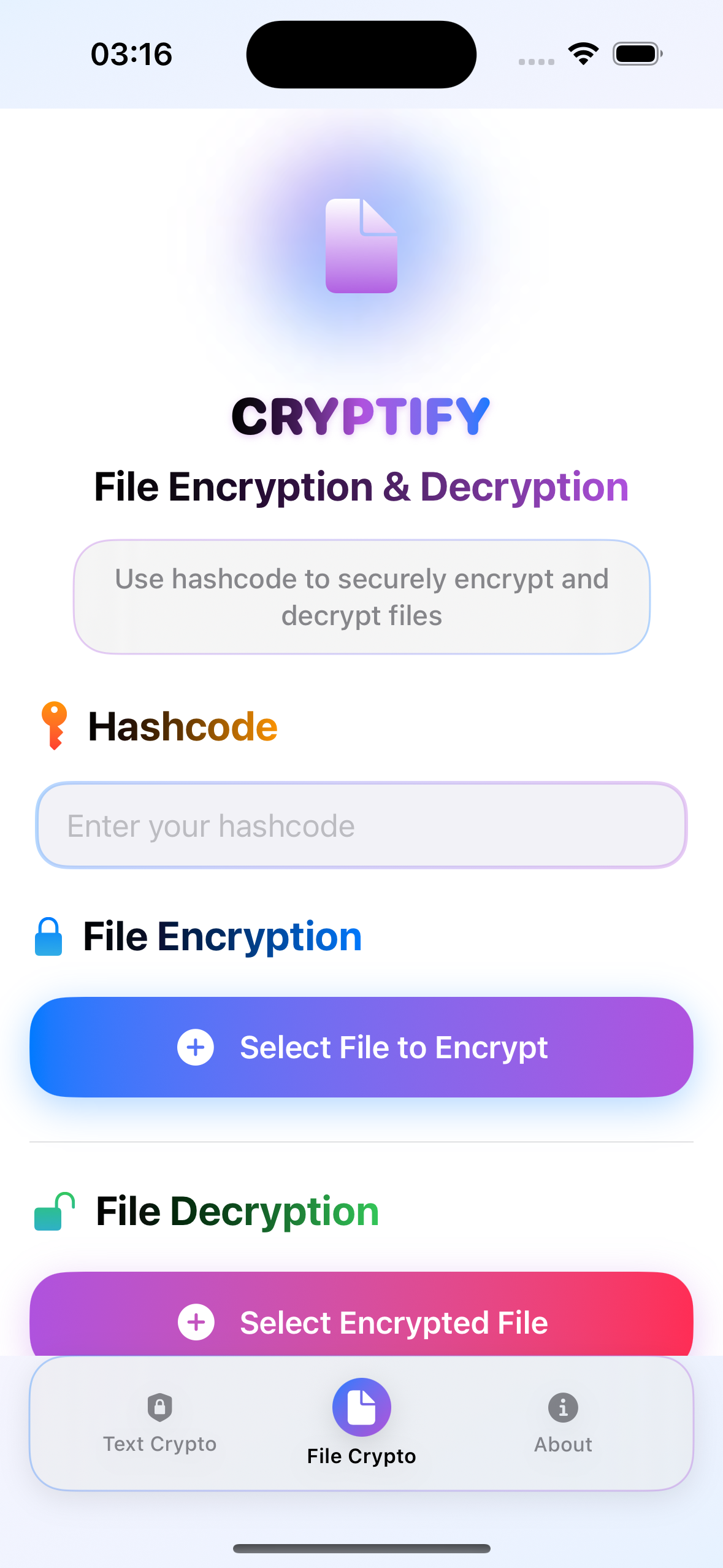 File Interface